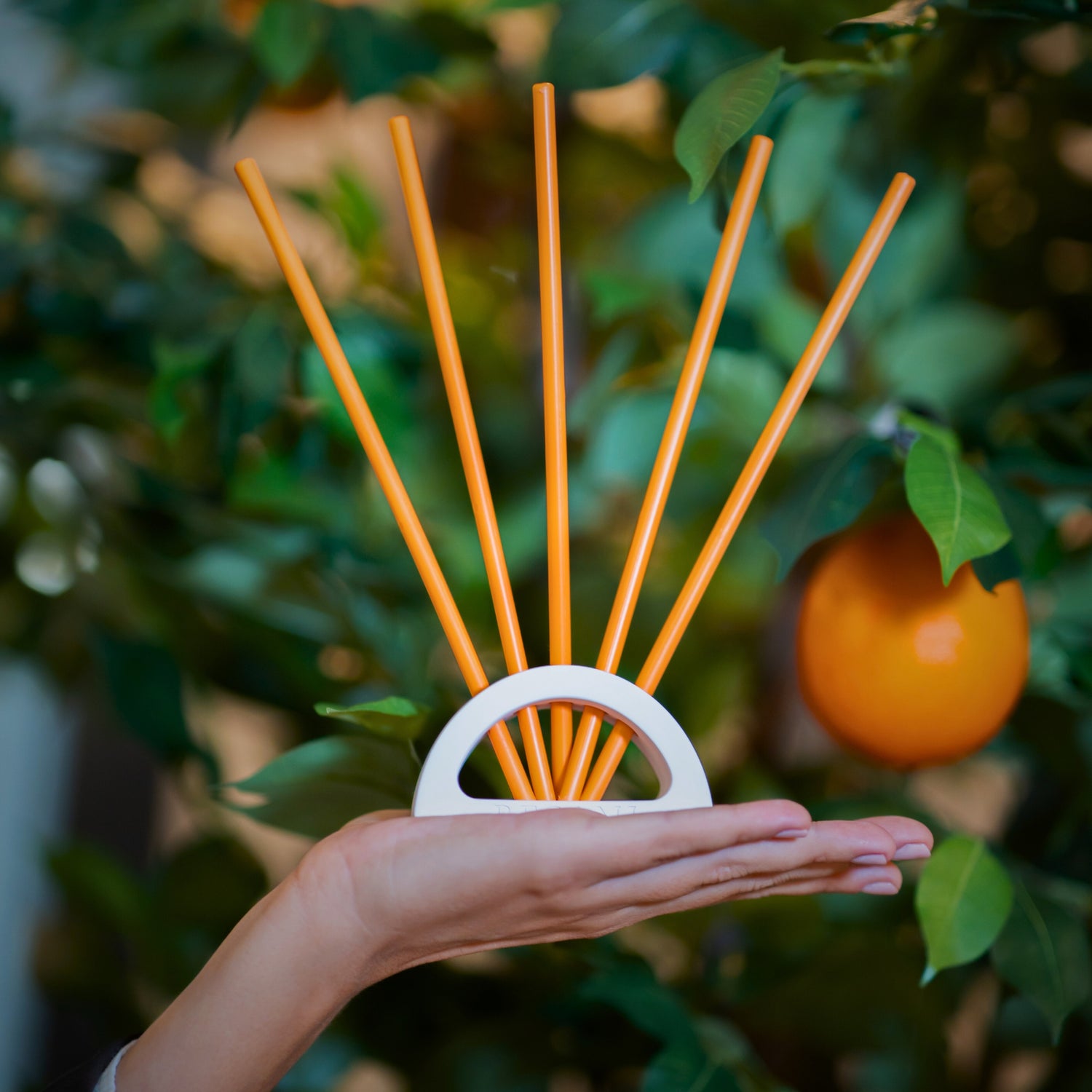 Tiges Parfumées - Fleur d'oranger